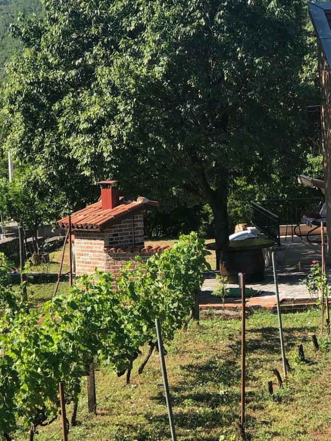 T-A Apartment Rijeka Crnojevica Bagian luar foto