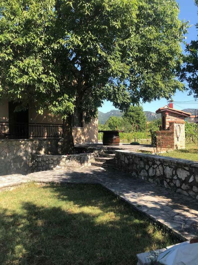 T-A Apartment Rijeka Crnojevica Bagian luar foto